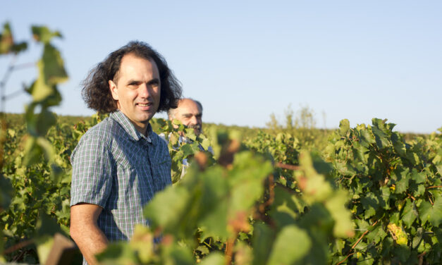 Duurzame smaken van Camaraderie