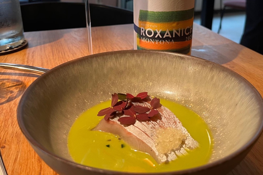 Roxanich 6