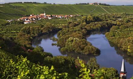 Escherndorf Am Lumpen GG Silvaner 2019, Rainer Sauer, Franken