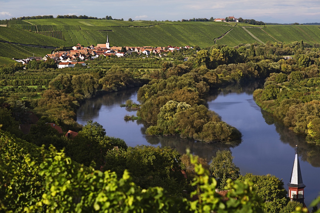 Escherndorf Am Lumpen GG Silvaner 2019, Rainer Sauer, Franken