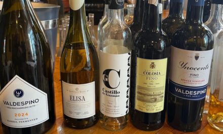 Sherry Types Deep Dive: Fino